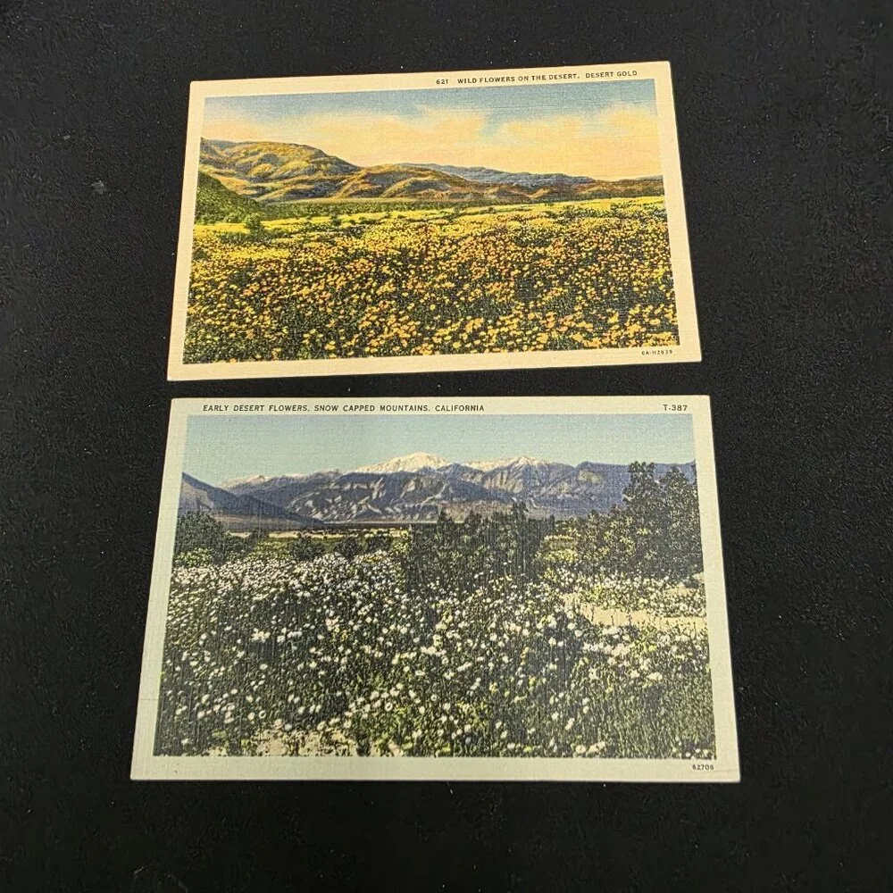 California Scenery Vintage Lot of 6 postcards Flawed Light Smoke Scent